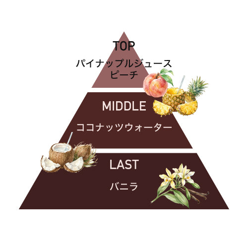 ココナッツショア センティッドキャンドル 150g