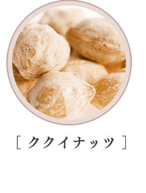 ［ ククイナッツ ］