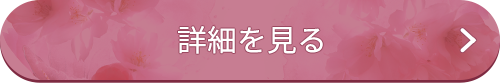 詳細を見る