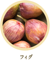 フィグ