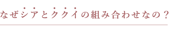 なぜシアとククイの組み合わせなの？