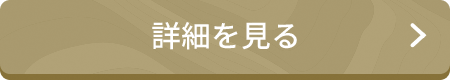 詳細を見る