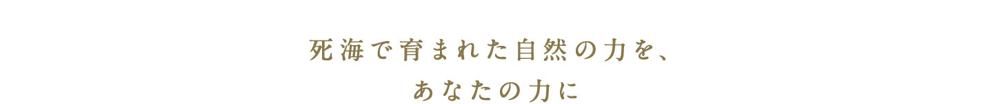 死海で育まれた自然の力を、あなたの力に