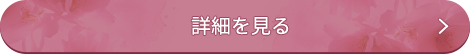 詳細を見る