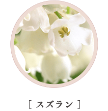 ［ スズラン ］
