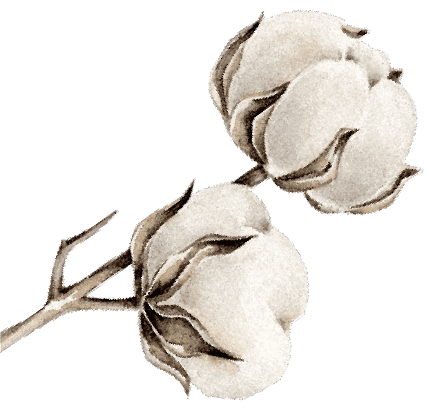 SOFT COTTON CLOUD