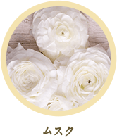 ムスク