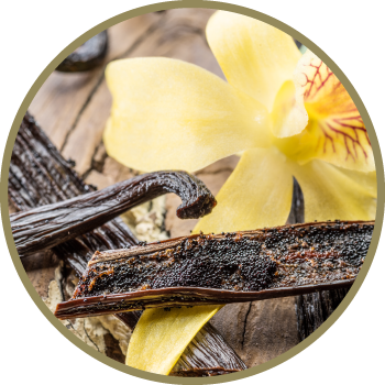 Vanilla