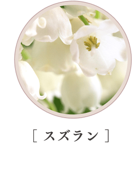 ［ スズラン ］
