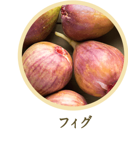フィグ
