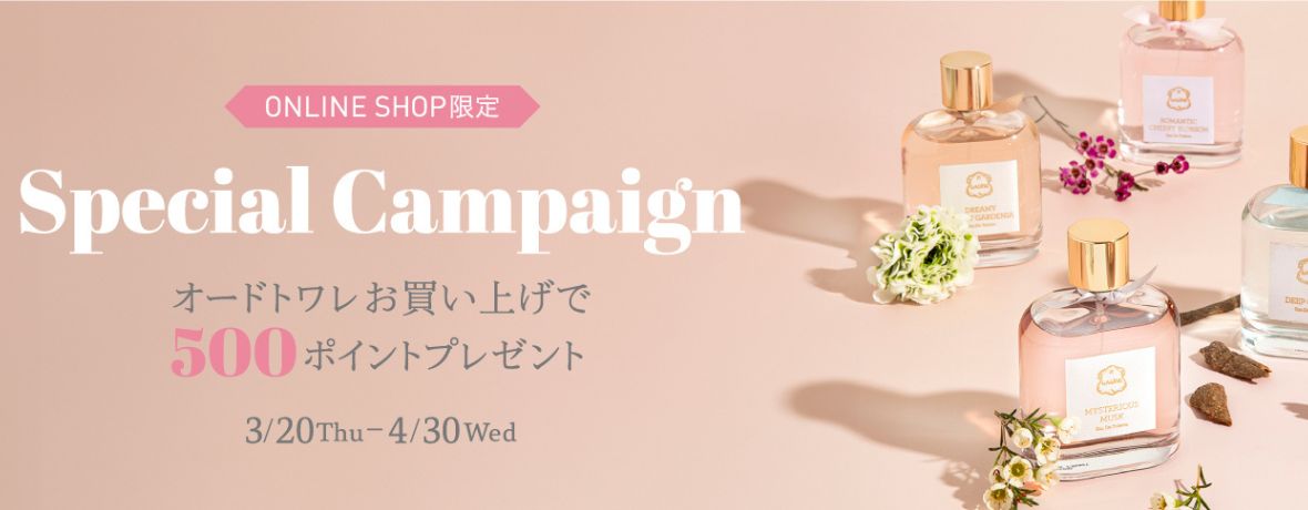 スペシャルキャンペーンの写真