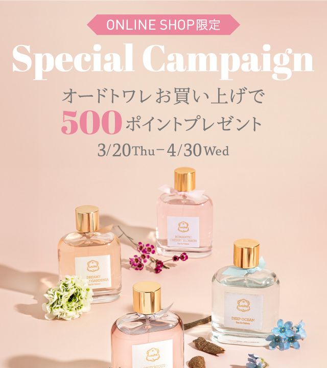スペシャルキャンペーンの写真